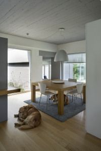 Dining area with a dog asleep on the rug, country house in Casale Monferrato, Italy