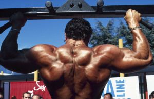 Bodybuilder's back muscles during a pull-up