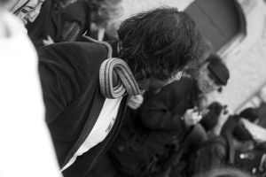 Snakes — photograph 16
