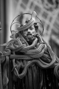 Snakes — photograph 15