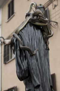 Snakes — photograph 13