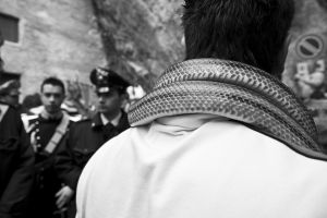 Snakes — photograph 6