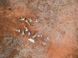 People resting on red earth in the Kenyan bush, seen from above