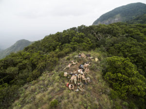 Group resting on a green hilltop on Mount Kasigau, Kenya, aerial view