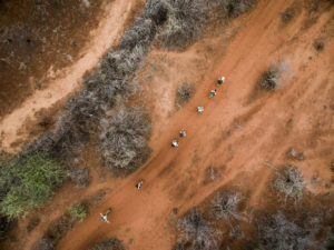 Line of people walking along a red dirt track in the Kenyan bush, aerial view