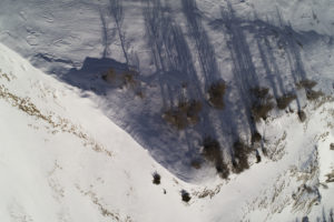 Shadows of trees on a snowy slope in the Alps, aerial view
